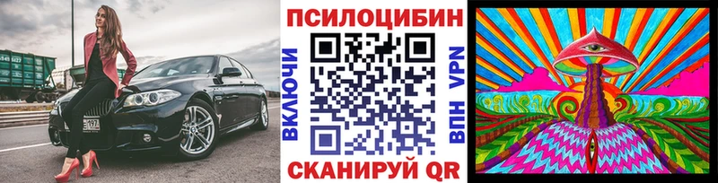 Псилоцибиновые грибы Psilocybine cubensis Кохма