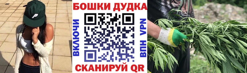 как найти закладки  Кохма  Бошки марихуана SATIVA & INDICA 